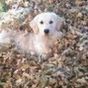 Meet your Posher, Florence